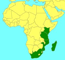 Enicospilus natalensis_map