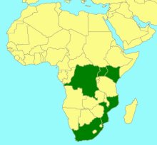 Xanthophenax tuberatus_map