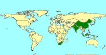 Xanthopimpla stemmator_map