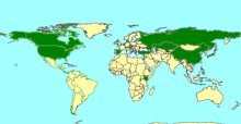 Zabrachypus_map