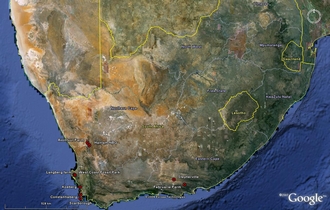 Fig 4 Megalyridia distribution