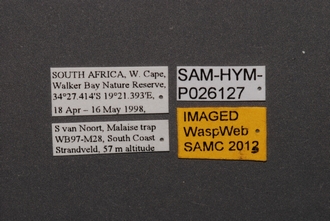 Duta_SAM-HYM-P026127_Labels
