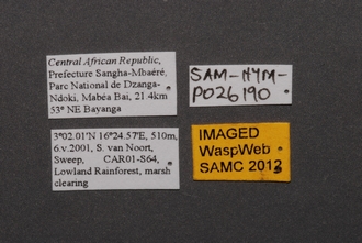 Duta_SAM-HYM-P026190_Labels