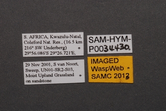 Idris_SAM-HYM-P0034430_Labels