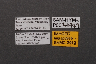 Idris_SAM-HYM-P0040749_Labels
