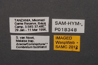 Idris_SAM-HYM-P018348_Labels
