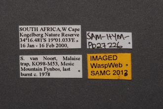 Idris_SAM-HYM-P027226_Labels