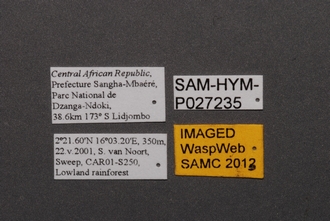 Idris_SAM-HYM-P027235_(Dark)_Labels