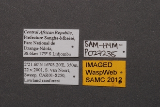 Idris_SAM-HYM-P027235_Labels