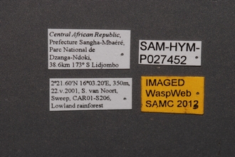 Idris_SAM-HYM-P027452_Labels