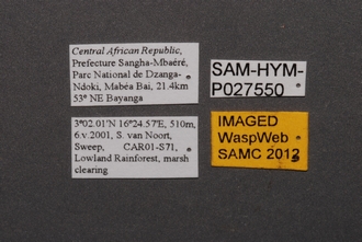 Idris_SAM-HYM-P027550_Labels