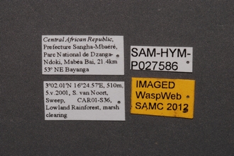 Idris_SAM-HYM-P027586_Labels