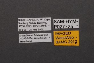 Idris_SAM-HYM-P027725_Labels