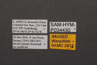 Idris_SAM-HYM-P034430_Labels