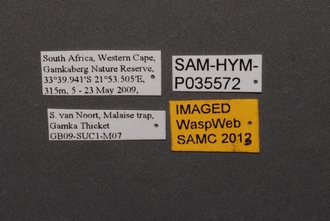Idris_SAM-HYM-P035572_Labels