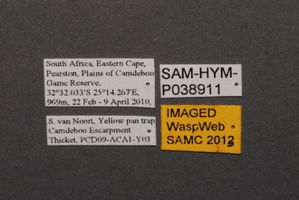 Idris_SAM-HYM-P038911_Labels