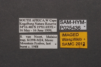 Shreemana_SAM-HYM-P025436_Labels