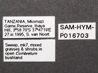 Arge_sp_P016701_labels