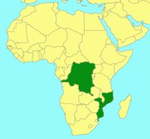 Syzeuctus ruberrimus_map
