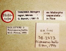 Pristomerus_bullis_data_labels