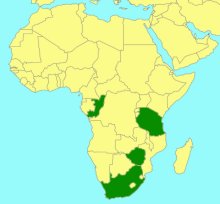Foveosculum acutum_map