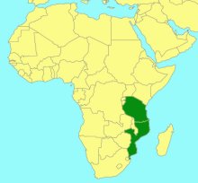 Leptophatnus ulugurus_map