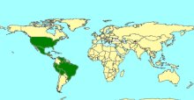 Macrojoppa_map