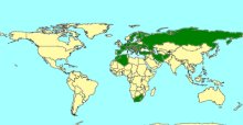Spilothyrateles_map