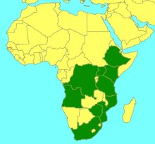 Dicamptus braunsii_map