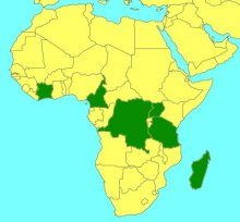 Dicamptus pellucidus_map