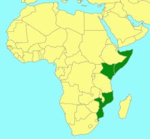 Netelia albipicta_map