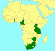 Netelia luteola_map