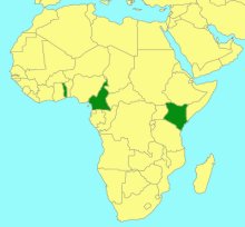 Netelia pallidilutea_map