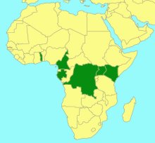 Gabunia coerulea_map